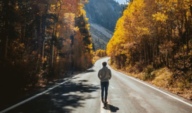 ООО "Компания "База Электроники"...